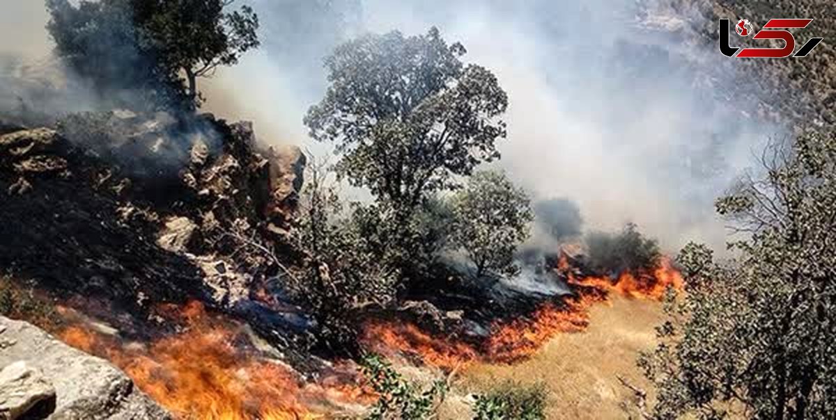 حریق بلای جان ۱۳۰۰ هکتار از جنگل‌ها و مراتع لرستان