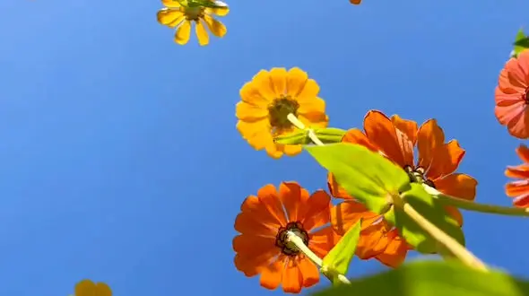 در لحظه زندگی کنیم