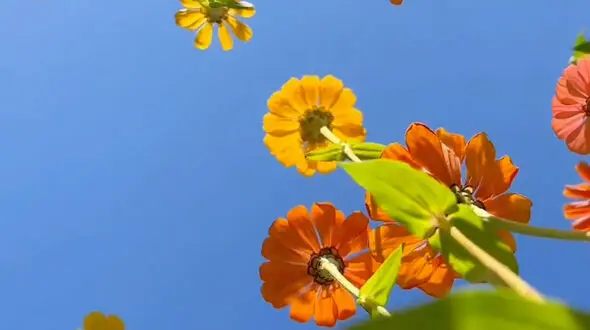در لحظه زندگی کنیم