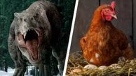 حقایق شگفت‌ انگیز: مرغ‌ ها و ارتباط نزدیک شان با تی‌ رکس