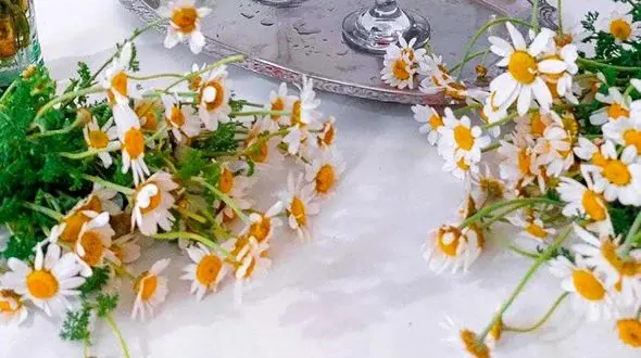 فال و طالع بینی امروز 18 اردیبهشت 1405