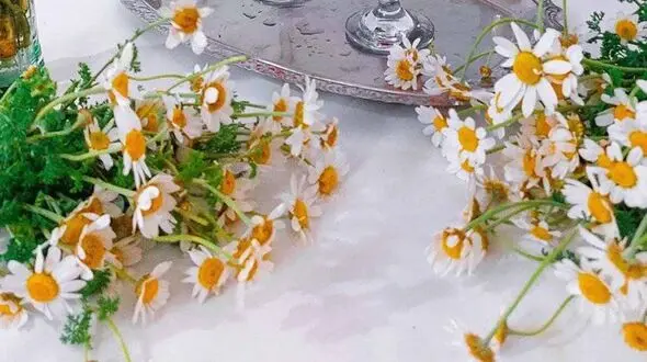 فال و طالع بینی امروز 18 اردیبهشت 1405