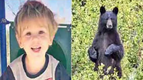 عجیب اما واقعی / خرس وحشی پسر 3 ساله را از مرگ نجات داد+ عکس