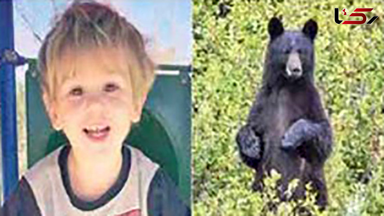 عجیب اما واقعی / خرس وحشی پسر 3 ساله را از مرگ نجات داد+ عکس