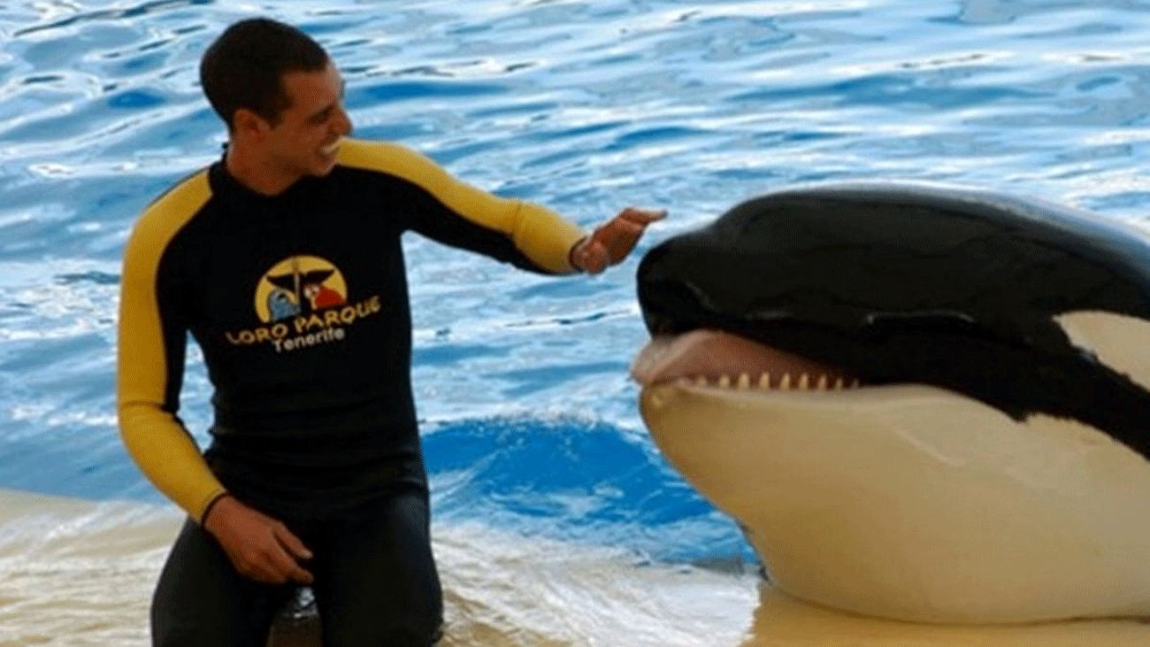 Trainer's horrifying death as SeaWorld killer whale 'bit his body and