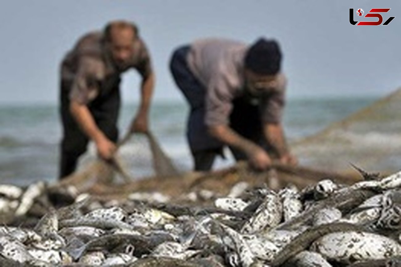 سرانه مصرف ماهی در ایران / مصرف ماهی امسال کم شد یا زیاد؟