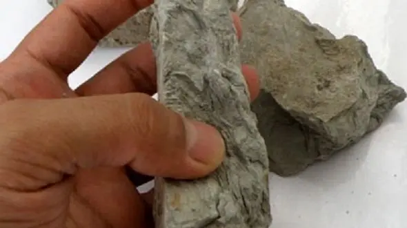 بروز عارضه پوستی و تنفسی با سنگ مرداب