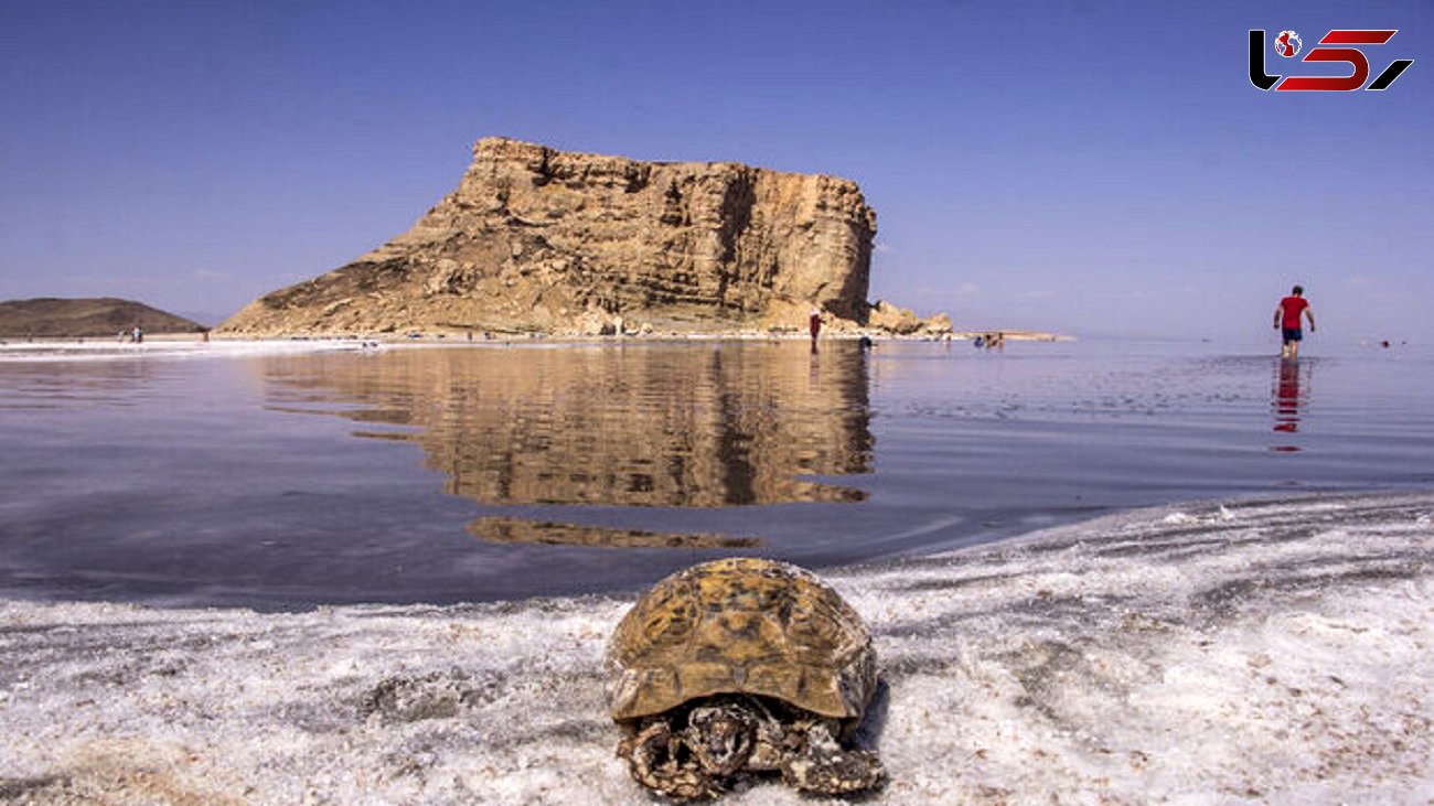 درویش: تنها 15 درصد دریاچه ارومیه احیا شده است / احیای دریاچه ارومیه بامعیشت جایگزین برای کشاورزان ممکن بود