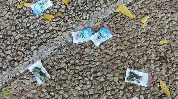 بارش ماریجوانا از آسمان تل آویو + عکس