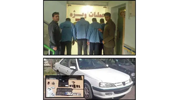 اعتراف مارمولک ها طلایی +عکس