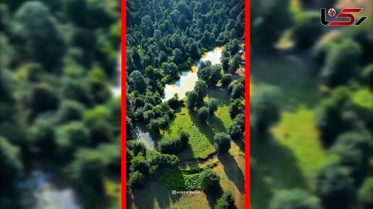 فیلم مناظر دیدنی ییلاق مازرون