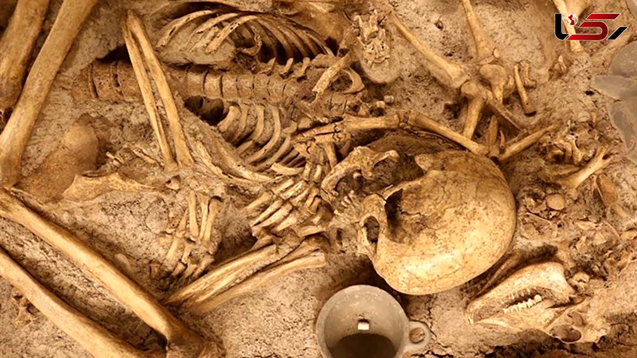 فیلم کشف قبر 3 هزار ساله / زن قزوینی با بز و سگ دفن شده بود