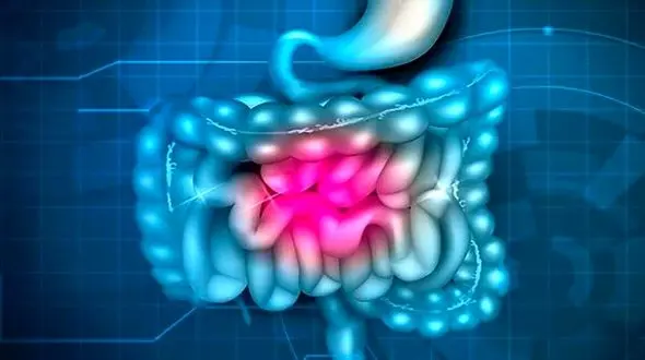 عاداتی که به سلامت روده آسیب می‌زنند
