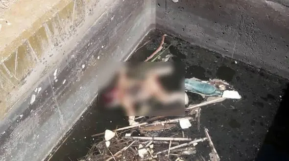 عکس تکاندهنده جنازه نوزاد در پارس آباد / حتما گریه می کنید!