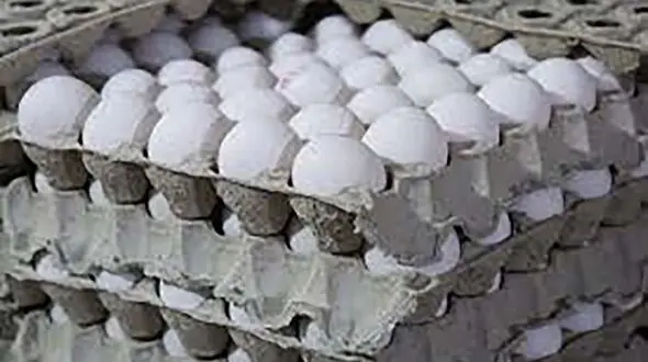 قیمت تخم مرغ در بازارهای میوه و تره‌بار اعلام شد