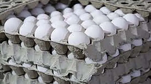 قیمت تخم مرغ در بازارهای میوه و تره‌بار اعلام شد
