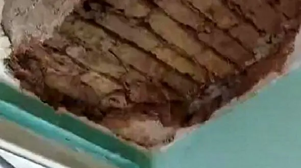 ریزش سقف خوابگاه دانشجویی دانشگاه تهران / معاون دانشگاه: وقتی بی رویه دانشجو جذب می‌شود، باید شاهد مشکلات این چنینی باشیم !