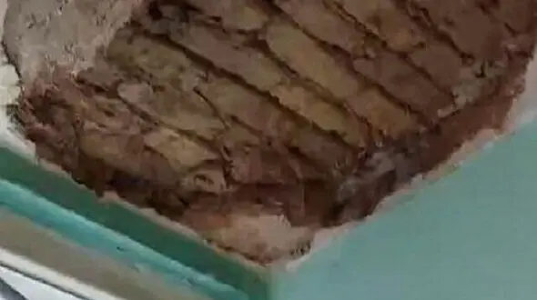 ریزش سقف خوابگاه دانشجویی دانشگاه تهران / معاون دانشگاه: وقتی بی رویه دانشجو جذب می‌شود، باید شاهد مشکلات این چنینی باشیم !