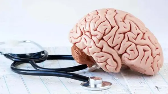 راز پیشگیری از آلزایمر؛ کشف یک ماده مغذی خاص