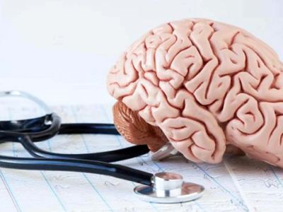 راز پیشگیری از آلزایمر؛ کشف یک ماده مغذی خاص