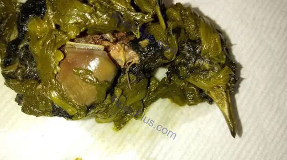 کشف پرنده مرده در کنسرو اسفناج +عکس
