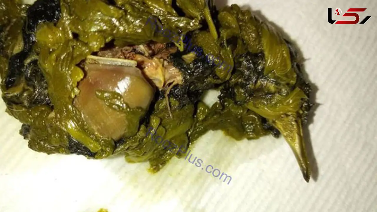 کشف پرنده مرده در کنسرو اسفناج +عکس
