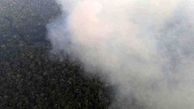 امسال 15 فقره آتش سوزی در جنگل های مازندران رخ داد