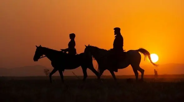 سووشون؛ از دل تاریخ به قاب تصویر