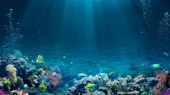 لحظه‌ای نادر از وقوع زلزله در زیر دریا + فیلم 