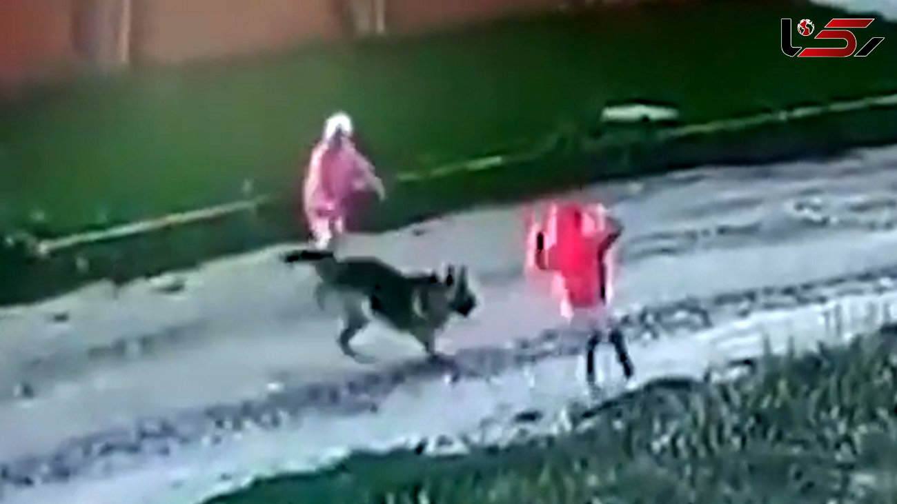 فیلم حمله سگ ولگرد به دو کودک تنها / دو کودک زنده ماندند 