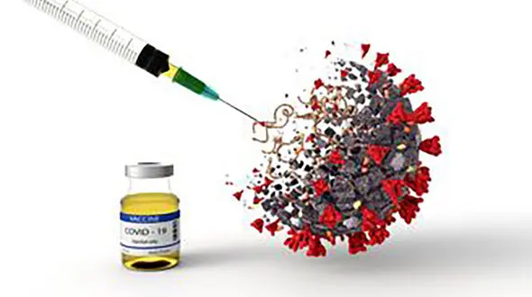 واکسن‌هایی تاییدیه تزریق گرفته اند