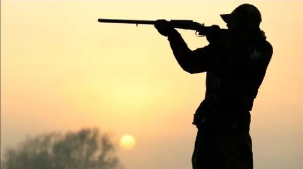 کشف لاشه دو رأس کل وحشی توسط محیط بانان