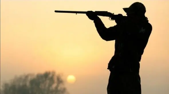 کشف لاشه دو رأس کل وحشی توسط محیط بانان