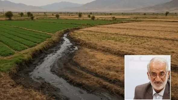 ناکارآمدی مدیریتی کشاورزی؛ ایران را به مرز فروپاشی آبی رسانده/شیخی: امکان خودکفایی با افزایش بهره وری آب و فناوری وجود دارد 