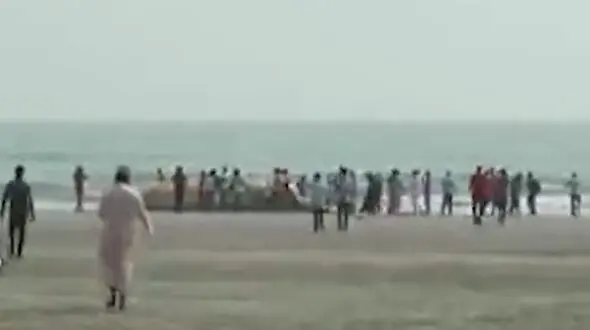 فیلمی از لاشه نهنگ به گل نشسته در سواحل بنگلادش