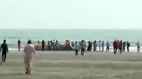 فیلمی از لاشه نهنگ به گل نشسته در سواحل بنگلادش