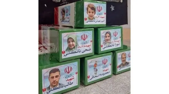 قوه قضائیه مدیون خانواده شهید نانکلی شد! / پرونده کثیرالشاکی کلاهبرداری در پروژه مسکونی حکیم تهران کجاست؟