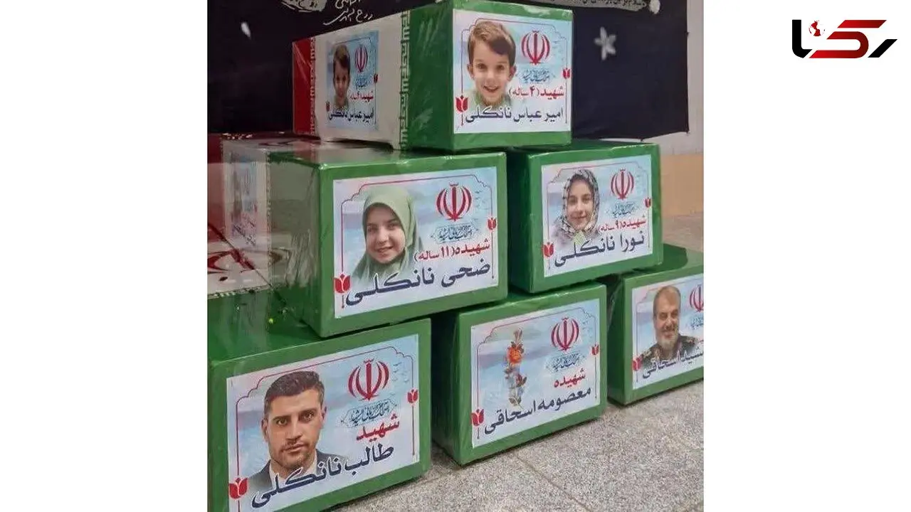 قوه قضائیه مدیون خانواده شهید نانکلی شد! / پرونده کثیرالشاکی کلاهبرداری در پروژه مسکونی حکیم تهران کجاست؟