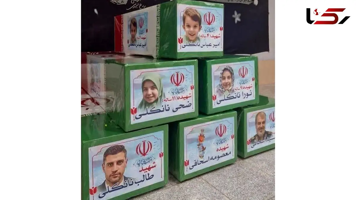 قوه قضائیه مدیون خانواده شهید نانکلی شد! / پرونده کثیرالشاکی کلاهبرداری در پروژه مسکونی حکیم تهران کجاست؟