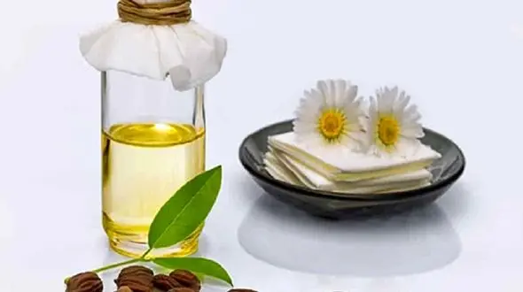 با این روغن گیاهی پوست تان همیشه جوان است!