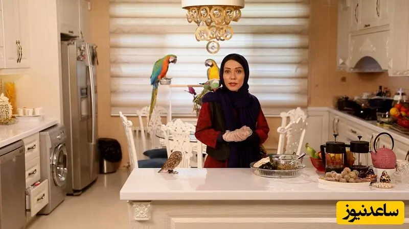 آشپزخانه مدرن شهرزاد کمال‌زاده