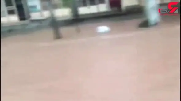 سیلاب وارد دره شهر ایلام شد+فیلم