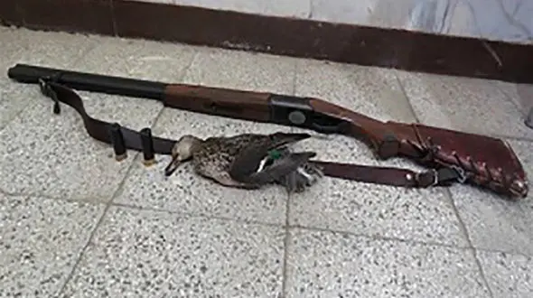 
دستگیری متخلفان شکار و صید در شهرستان پاسارگاد