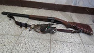 دستگیری شکارچی پرنده وحشی در اردبیل 