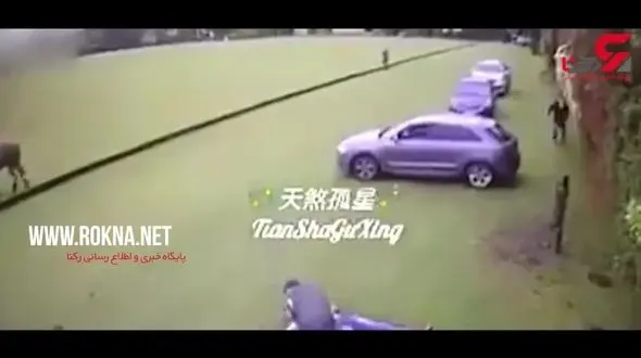 بیهوشی یک مرد از جفتک ناگهانی اسب + فیلم 