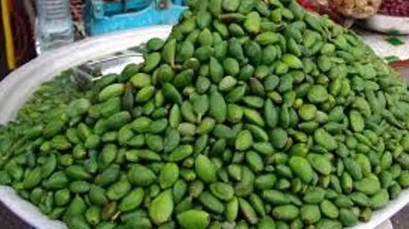 نوبرانه ها رسیدند/چغاله بادام کیلویی ۲۰۰ هزار تومان