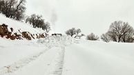 فیلم رکورد بارش برف در کوهرنگ  / راه ارتباطی 733 روستا مسدود است/ راهداری بی وقفه در تلاش برای بازگشایی مسیرها