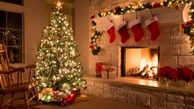 درخت کریسمس 6 میلیون تومان /  چه کسانی در ایران درخت کریسمس می خرند ؟
