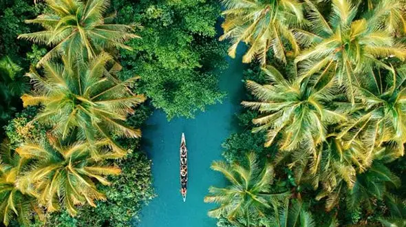 روز جهانی مناطق استوایی + فیلم