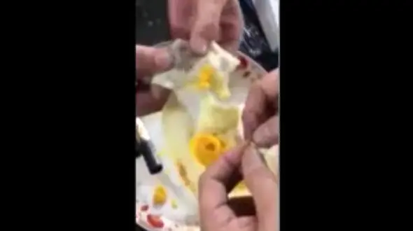 ساخت تخم مرغ های  تقلبی/این محصول خطرناک از چین به ایران وارد شده بود + فیلم